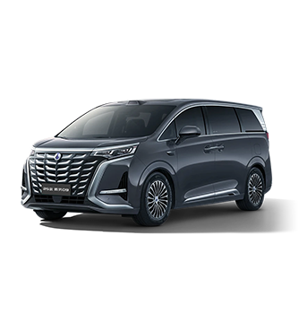 2025款庄闲游戏D9